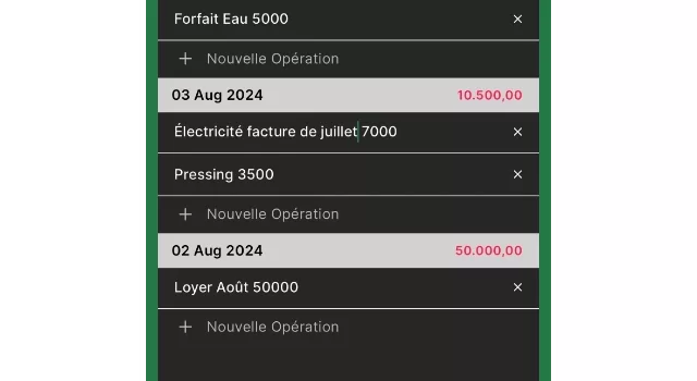 Enregistrement des opérations entrées-sorties