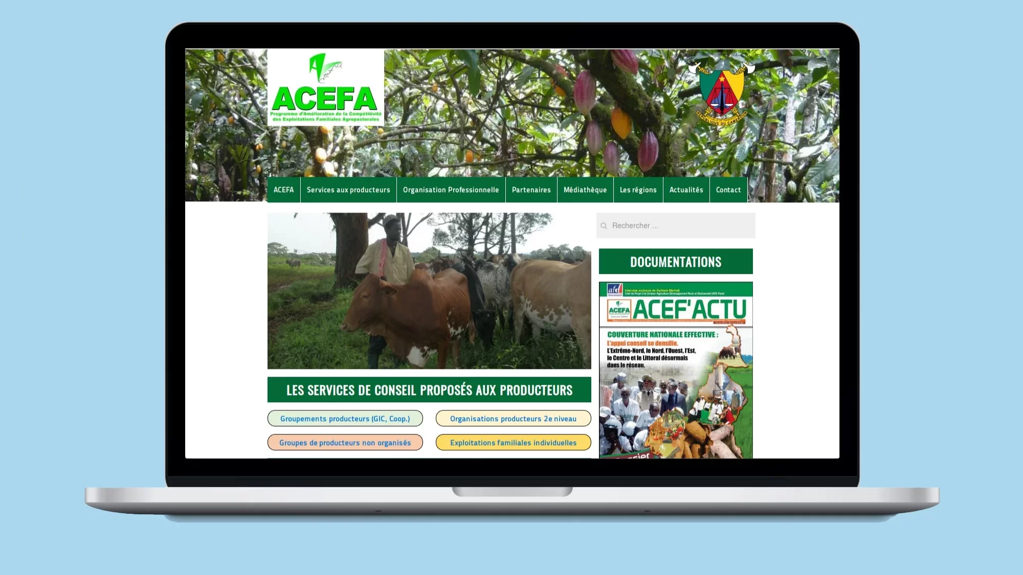 ACEFA — Redesign & Multi-User CMS Optimization